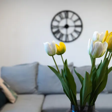 Apartman Gibi & Lumo Apartment's By Eldi